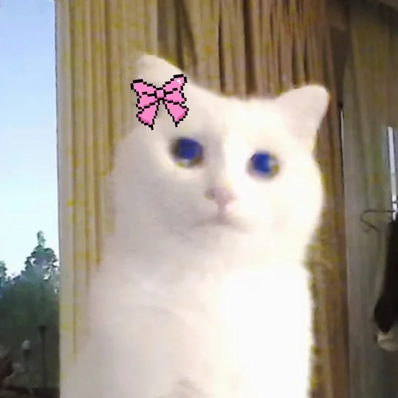 📦EXTRA SHIPPING LABEL📦 - Picture 2 of 2